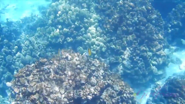 Passionate Sophia Leone Moans During Pleasurable Moments With Her Lover