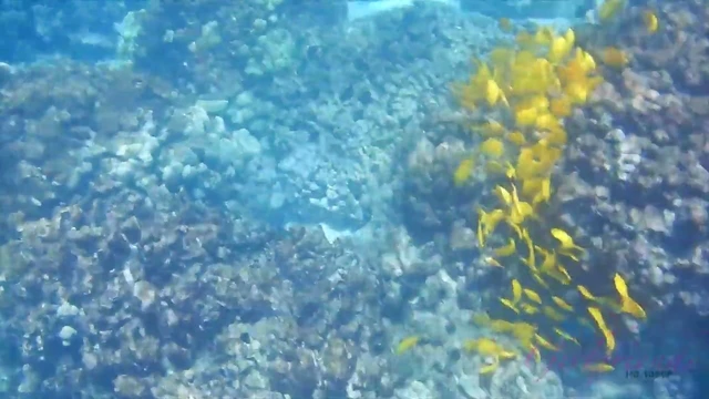 Passionate Sophia Leone Moans During Pleasurable Moments With Her Lover