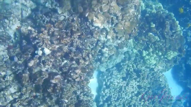 Passionate Sophia Leone Moans During Pleasurable Moments With Her Lover