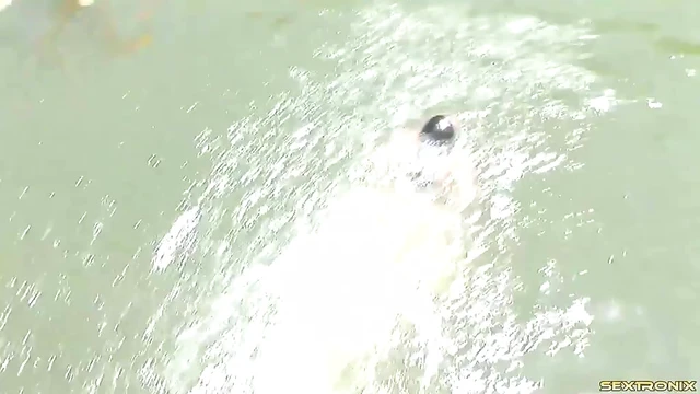 Sexy Bikinis Hit Lake Party with Wet Outdoor Orgies On Deck