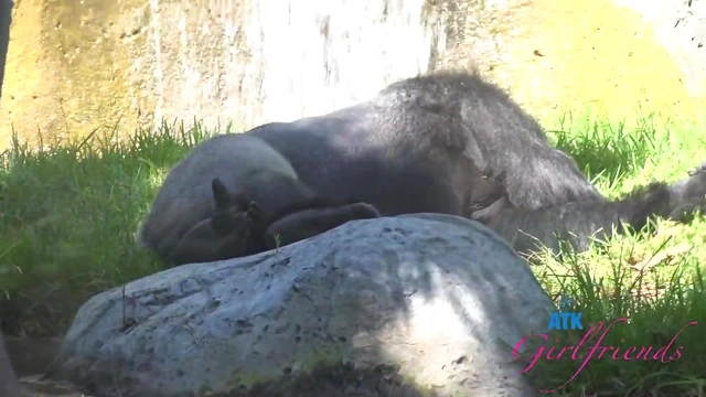 Blonde Beauty Lily Adams Drops Jeans for Sultry Masturbation Showdown