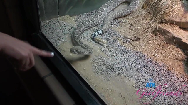 Blonde Beauty Lily Adams Drops Jeans for Sultry Masturbation Showdown