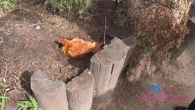 Blonde Chick Britt Blair Gets Tapped Outdoors Amidst Public Stares