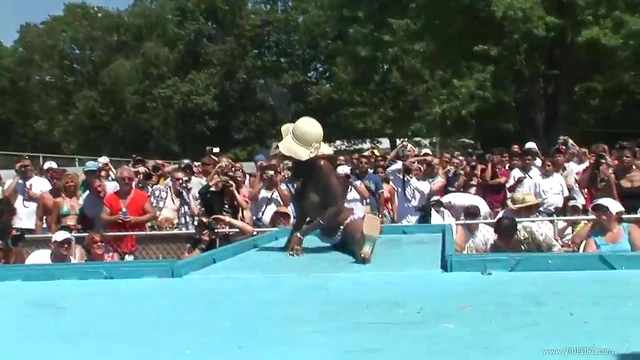 Amateur Skanks Flash Their Bodies Publicly for Exciting Party Action