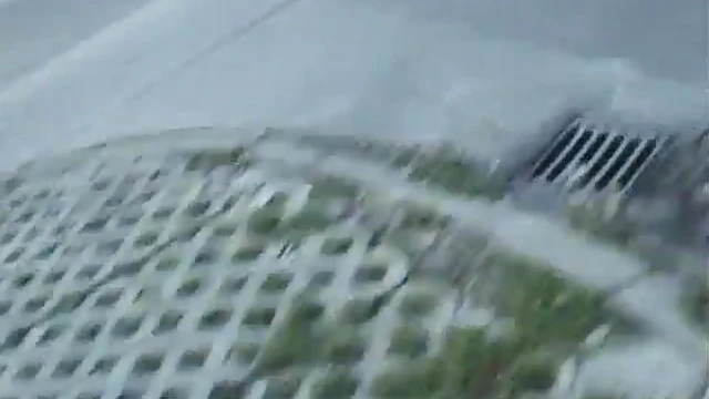 Sexy Blonde Bree Olson Tempts You In Her Hot Reality Clip Seduction