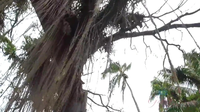 Hot Brunette Vera Gets Fucked Hard By Her Man For Ultimate Pleasure