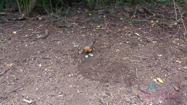 Hot Brunette Vera Gets Fucked Hard By Her Man For Ultimate Pleasure