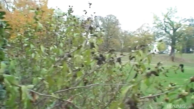 Bar Tit Teasing Ends With Hot Blowjob in His Car Later On