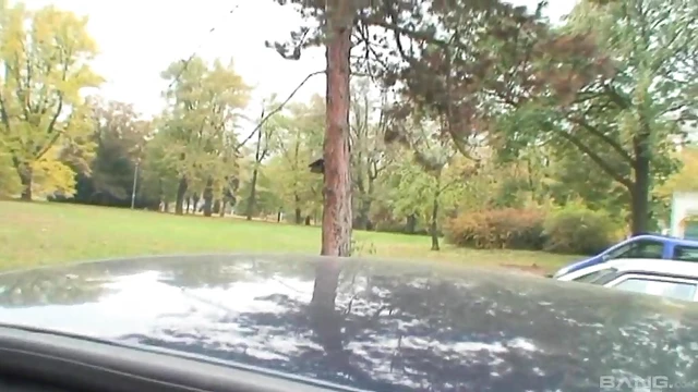 Bar Tit Teasing Ends With Hot Blowjob in His Car Later On