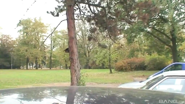 Bar Tit Teasing Ends With Hot Blowjob in His Car Later On