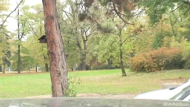 Bar Tit Teasing Ends With Hot Blowjob in His Car Later On