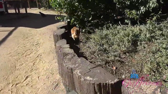 Adorable Kimmy Kimm Shines Outdoors Posing Seductively for Explicit Pics