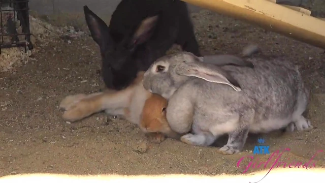 Adorable Kimmy Kimm Shines Outdoors Posing Seductively for Explicit Pics