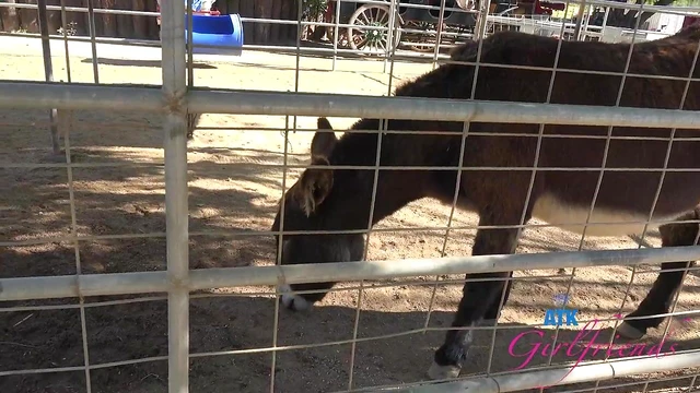 Adorable Kimmy Kimm Shines Outdoors Posing Seductively for Explicit Pics