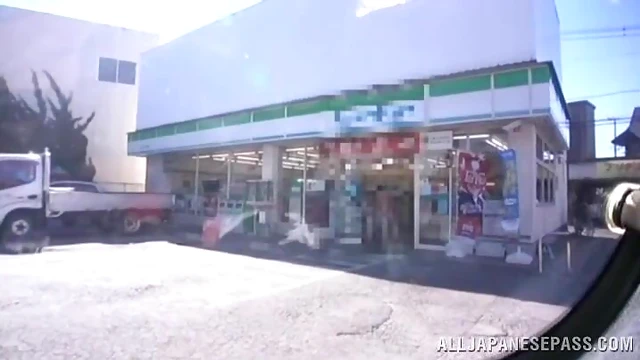 Tight Asian Amateur Gets Pleasured by Stranger's Cock in Car