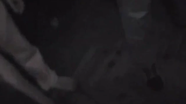 Bold Bree Olson Dazzles Crowds by Flaunting Her Sensational Tits Publicly