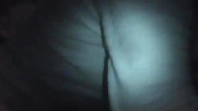 Bold Bree Olson Dazzles Crowds by Flaunting Her Sensational Tits Publicly