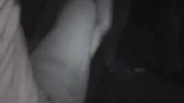 Bold Bree Olson Dazzles Crowds by Flaunting Her Sensational Tits Publicly