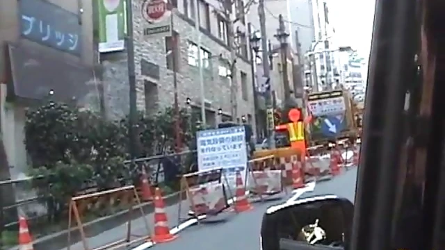 Big-Breasted Blonde Puma Swede Takes Charge in Reality Action Scene