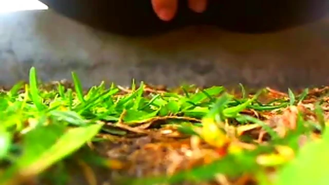 Outdoor Lesbian Fun: Two Babes Enjoy Simple Pleasures Together Naturally