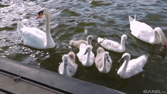 Sexy Brunette Billie Star Takes Double Penetration Hardcore Blissfully