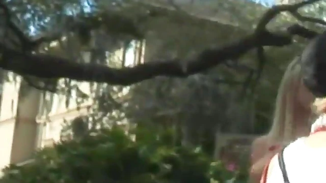 Naughty Girls Show Off Their Big Tits at Carnival Reality Porn Scene