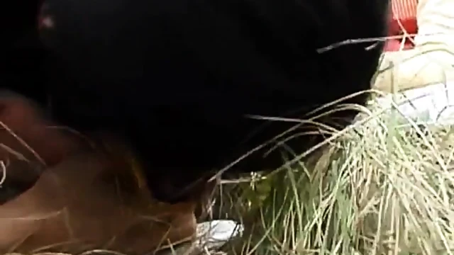 Hairy Pussy Slut Gets Fucked Hard Near The River By Horny Dude