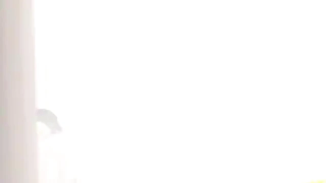 Sora Aoi Eats Ass & Gets Fucked Hard By Passionate Partner