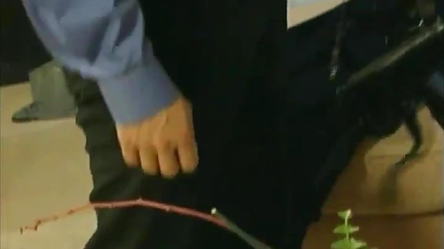 Sizzling Sex With Mariesa As She Gets Fondled & Fucked By Peter North