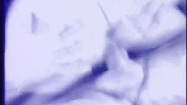 Seductive Slaves Crave Their Dominant's Passionate Command Performance