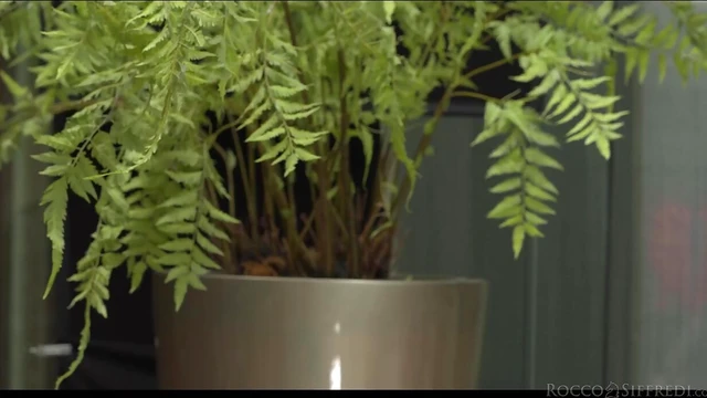 Sizzling Tattooed Blonde Gets Gangbanged & Showered In Cum