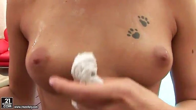 Sensuous Slut Takes Two Stiff Cocks, Gets DP'd Hard In Pussy And Ass