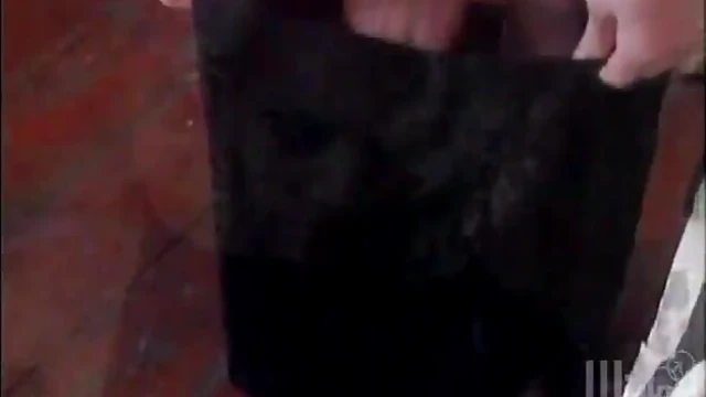 Blonde Beauties Kelsey & Missy Get Roughly Fucked by Multiple Studs