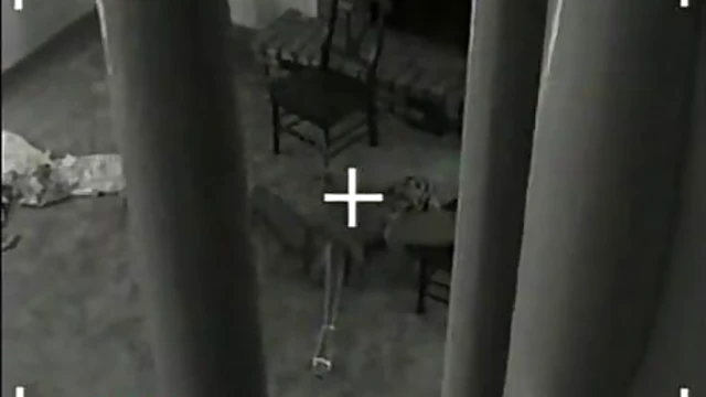 Blonde Bombshell Gets Double Penetration from Two Hard Dicks Simultaneously