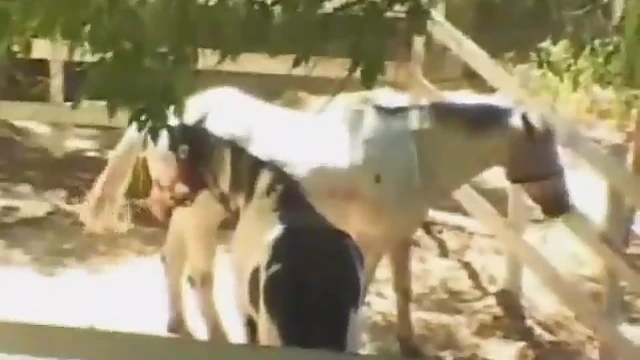 Naughty Asian Girl Gets Double Penetrated During Picnic Adventure