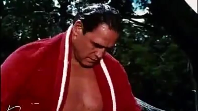 Fiery Isabel Sarli Fucks Hard & Takes Big Cocks With Ease