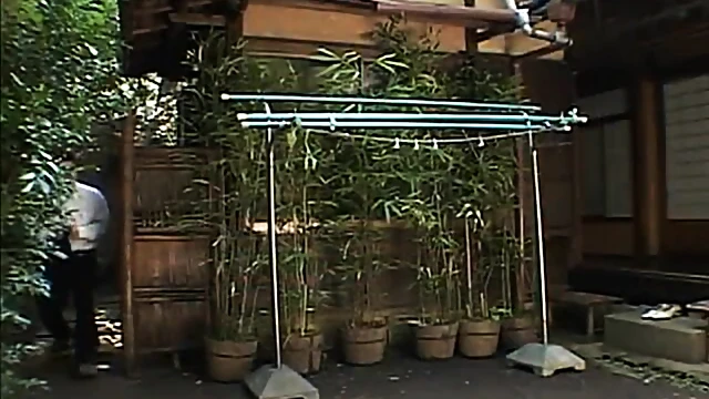 Sizzling Japanese Star Delivers Mind-Blowing Oral Pleasure Before Sex