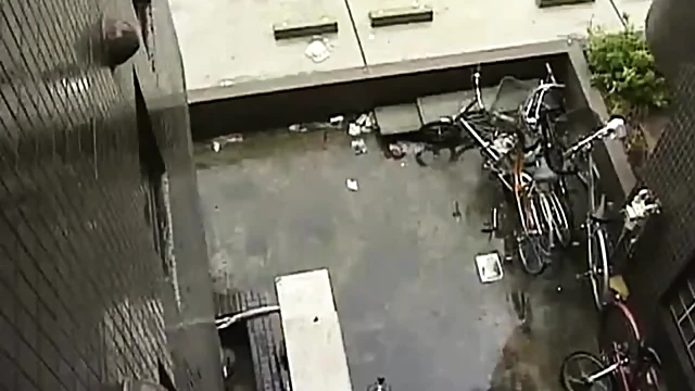 Passionate Mature Japanese Woman Engulfed By Hard Cock Thrusts