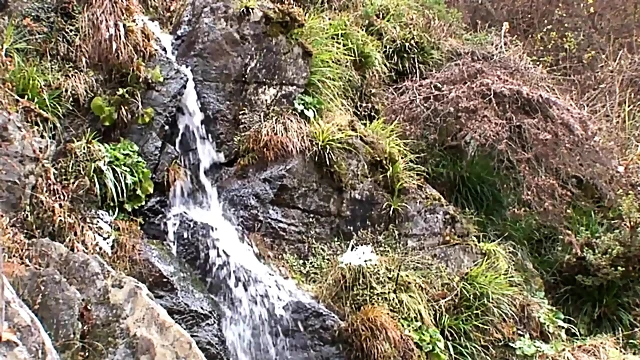 Ran Miyami's Big Tits Smashed Hardcore Doggy Style Outdoors