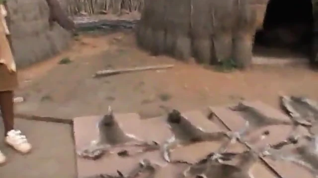 Hitomi Fujiwara Enjoys Tribal Style Deep Penetrating Sex Act