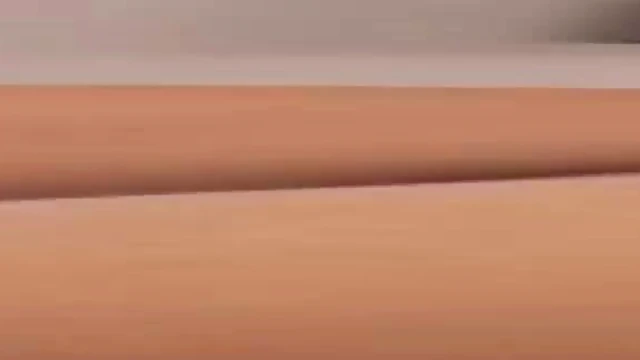 Hot Black Stud Ravages Cindy's Wet Pussy with His Thick Cock