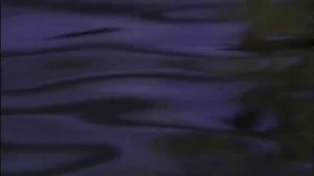 Hot Ida Ljungqvist Strips Off Completely Naked Amidst Foggy Forest Vibes