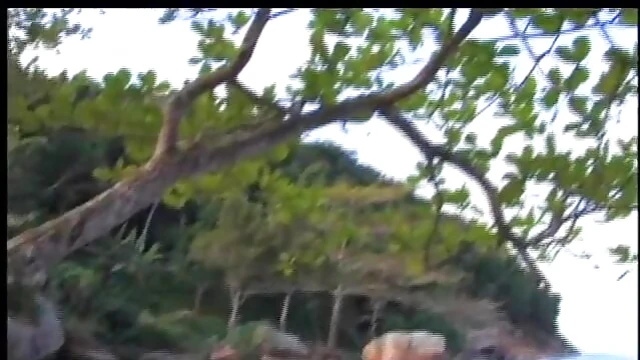 Passionate Brazilian Sex Without Condoms: Hot Moments Unleashed Together